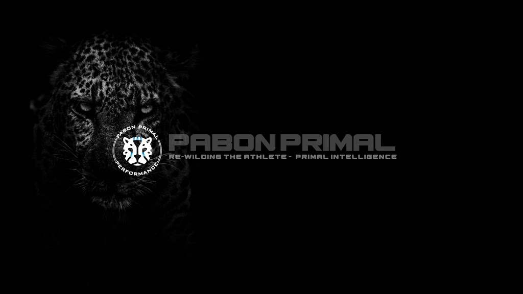 Pabon Primal performance | 3713 Linden St, Bethlehem, PA 18020 | Phone: (570) 234-4362