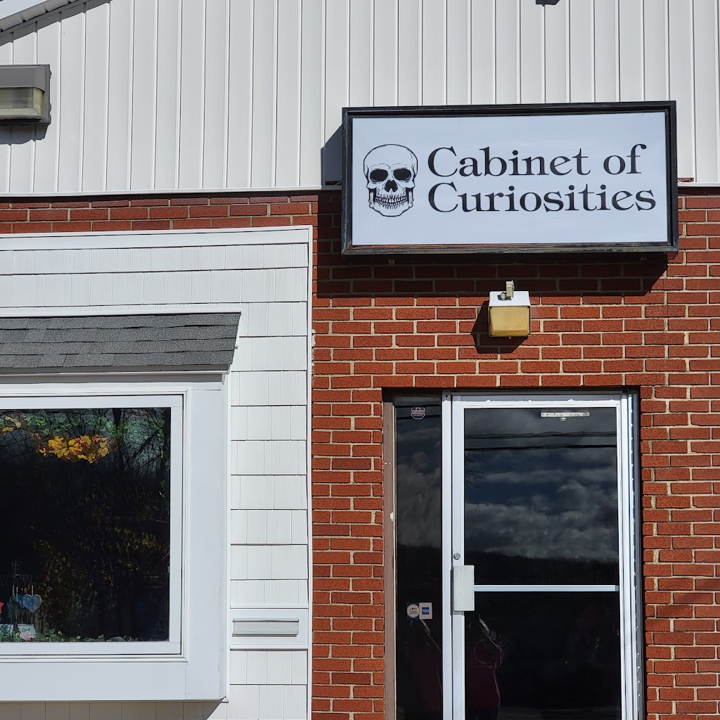 Cabinet of Curiosities | 228 Old Hartford Rd, Colchester, CT 06415 | Phone: (860) 603-2400
