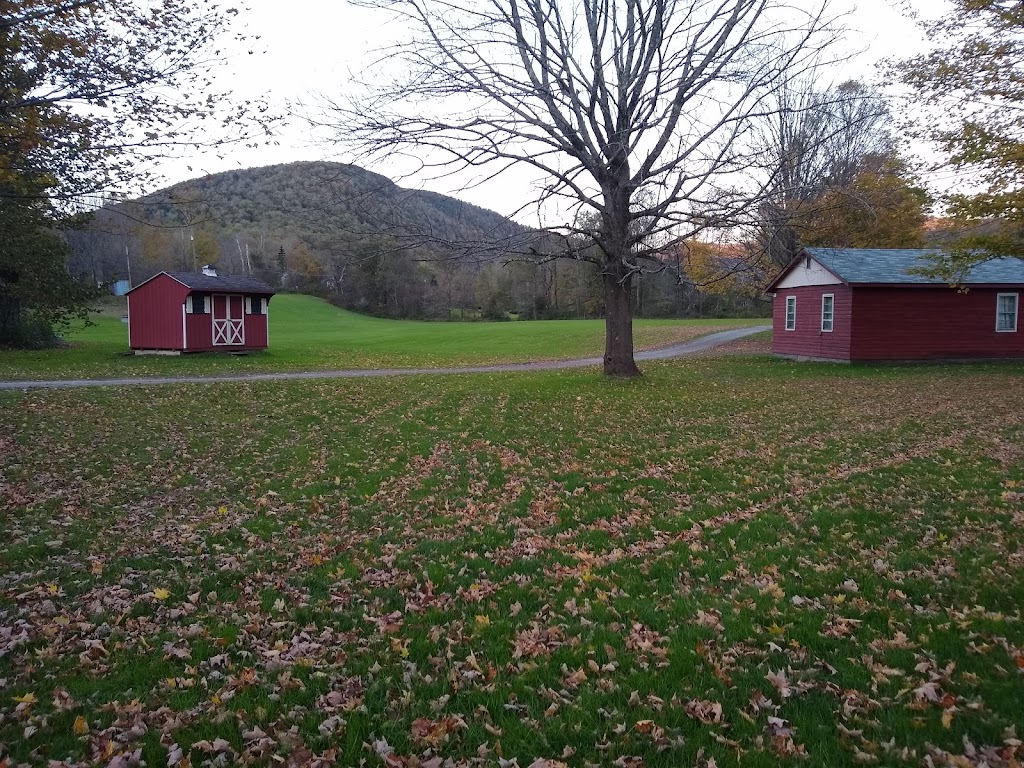 Buck-Horn Lodge & Cottages | 1577 NY-30, East Branch, NY 13756 | Phone: (607) 363-7432