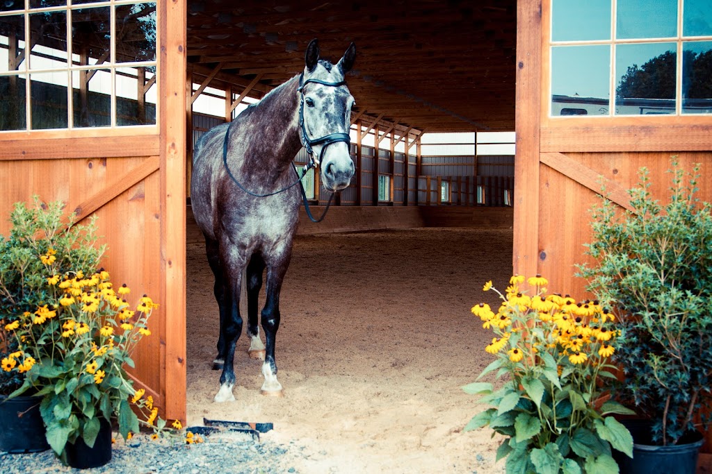 Gentry Sport Horses | 240 Hill Church Rd, Spring City, PA 19475 | Phone: (810) 623-7299