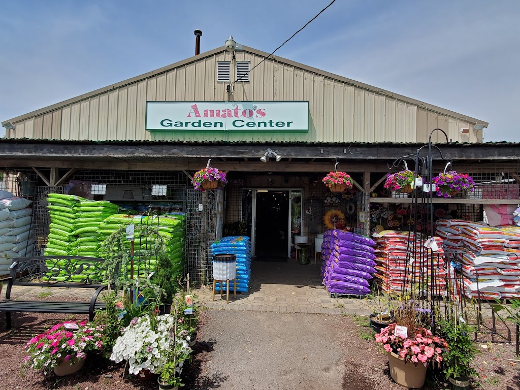 Amatos Garden Center Nursery | 47 Deans Rhode Hall Rd, Monmouth Junction, NJ 08852 | Phone: (732) 297-6790