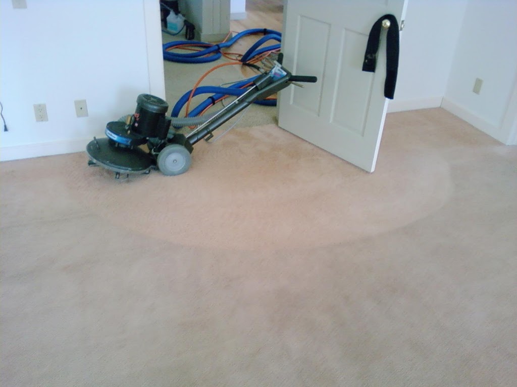 Black Cat Carpet & Upholstery | 22 Walton St, Lakeville, CT 06039 | Phone: (860) 435-2223