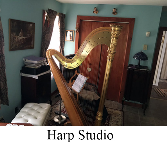 Planet Harp | 3922 Orchard Rd, Macungie, PA 18062 | Phone: (610) 966-5677