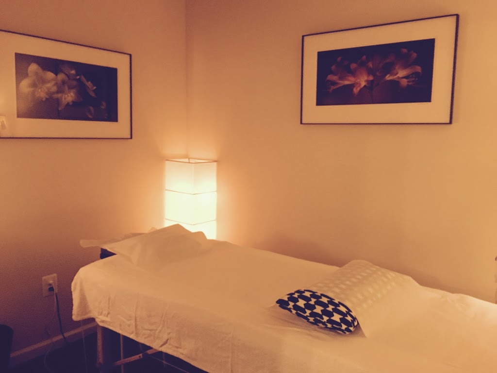 Botjer Acupuncture | 105 Shad Row #1C, Piermont, NY 10968 | Phone: (551) 655-1531