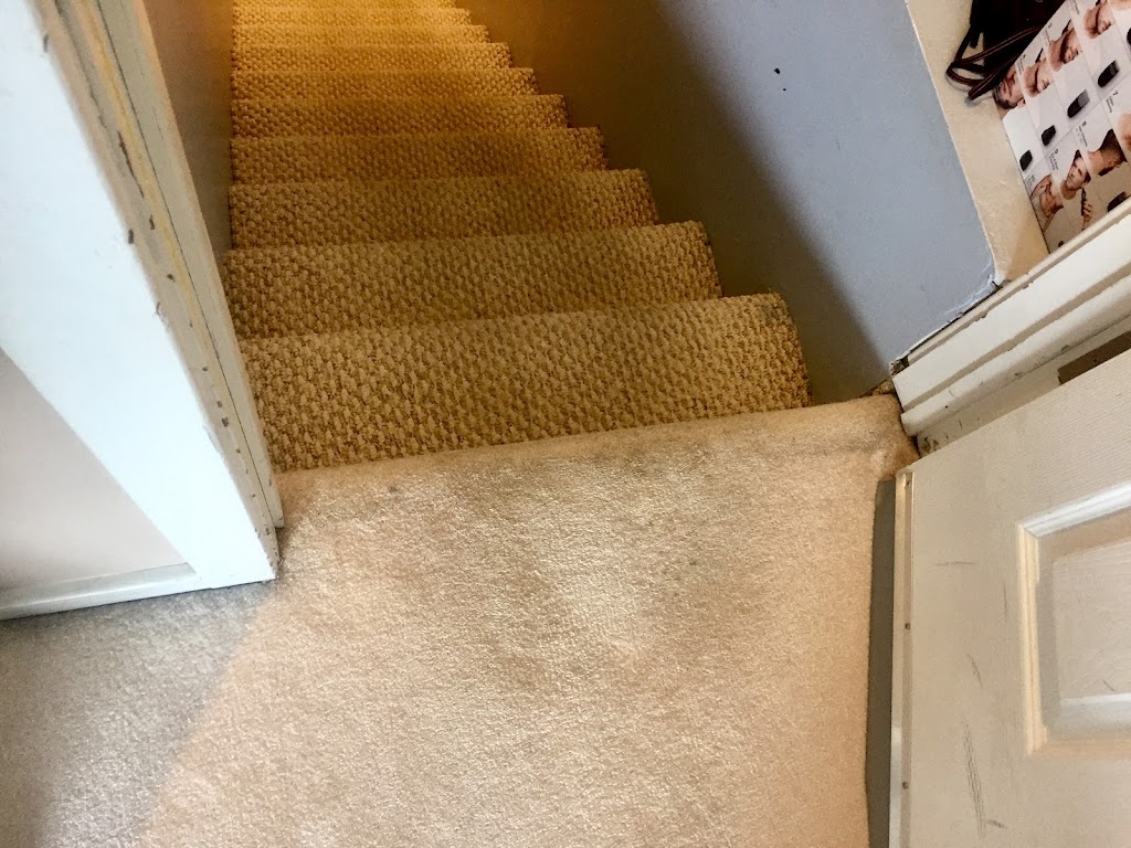 King Carpet Cleaning Service | 325 Saunders Ave, Bridgeport, CT 06606 | Phone: (860) 595-2388