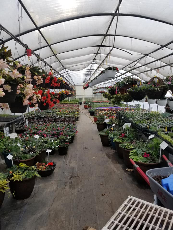 Shoreline Garden Center | 31-A Old Post Rd, Clinton, CT 06413 | Phone: (860) 669-0765