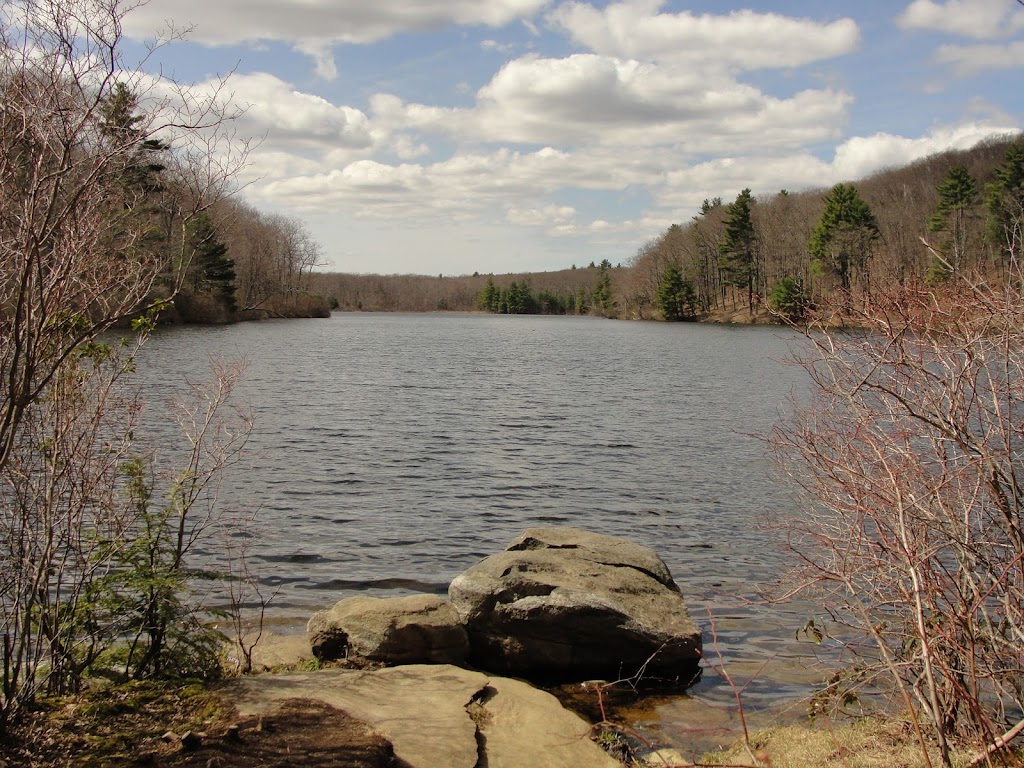 Beartown State Forest | 69 Blue Hill Rd, Monterey, MA 01245 | Phone: (877) 422-6762