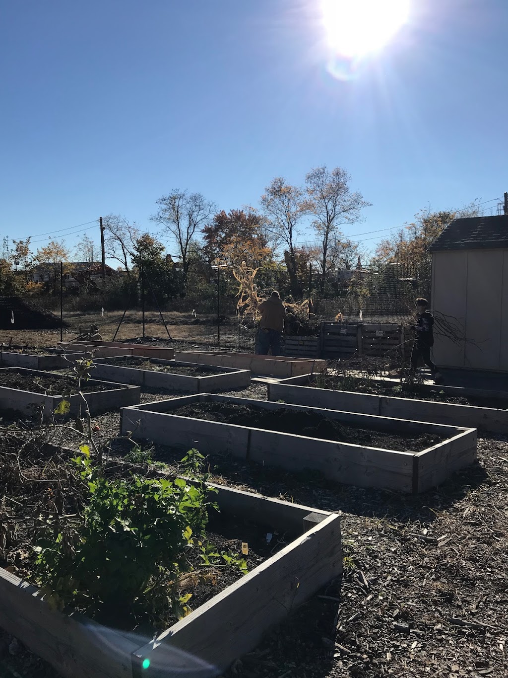 South River Community Garden | 39 Causeway St, South River, NJ 08882 | Phone: (732) 723-8936