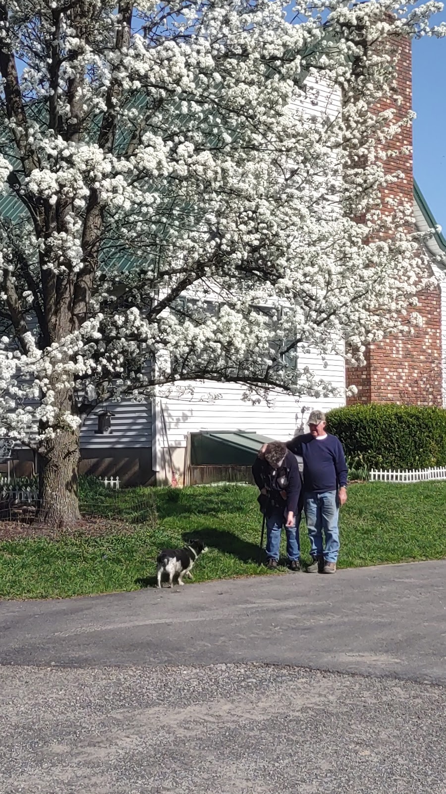 Sheeleys Organic Farm Stand | 2754 Lucas Turnpike, Accord, NY 12404 | Phone: (845) 253-0211