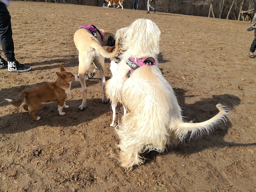 Paws Place Dog Park | 300 Broadfield Rd, New Rochelle, NY 10804 | Phone: (914) 654-2087