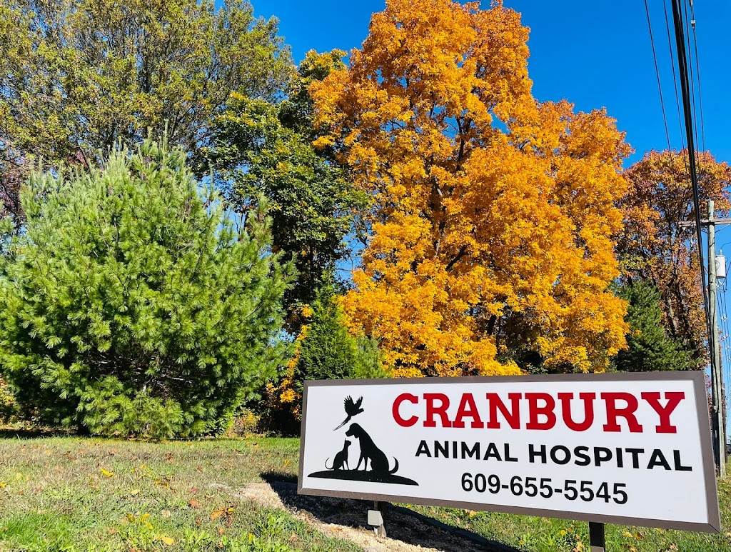 Cranbury Animal Hospital | 2725 US-130, Cranbury, NJ 08512 | Phone: (609) 655-5545