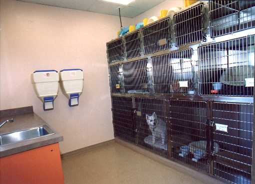 Indian Walk Veterinary Center | 662 Durham Rd, Newtown, PA 18940 | Phone: (215) 598-9000