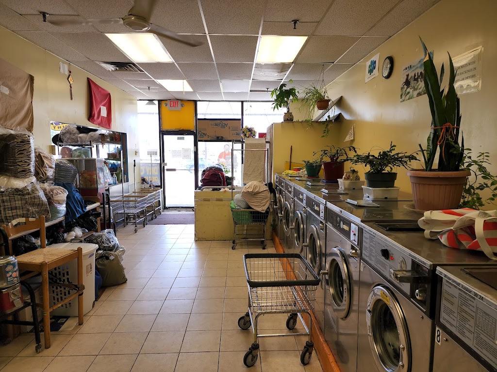 New Laundry Store | 746 US-46, Parsippany, NJ 07054 | Phone: (973) 335-9399