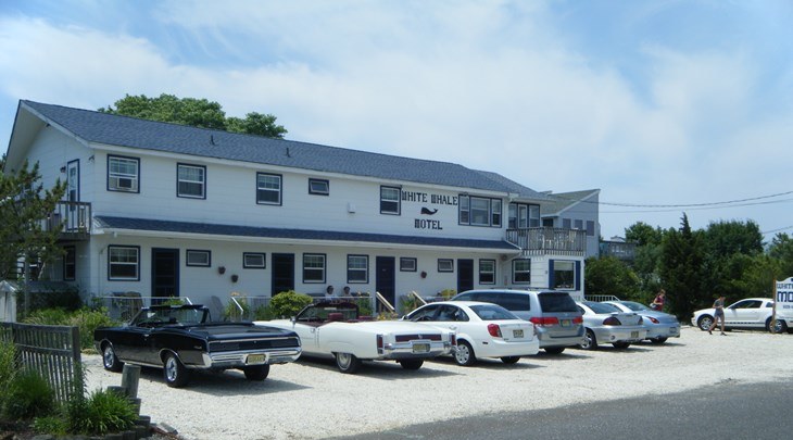 White Whale Motel | 20 W 7th St, Barnegat Light, NJ 08006 | Phone: (609) 494-3020