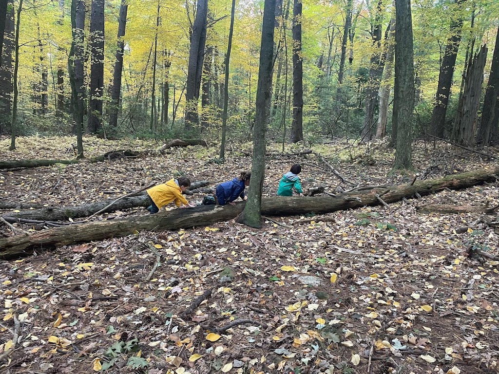 Granby Nature Preschool | 113 Simsbury Rd, West Granby, CT 06090 | Phone: (860) 413-3617