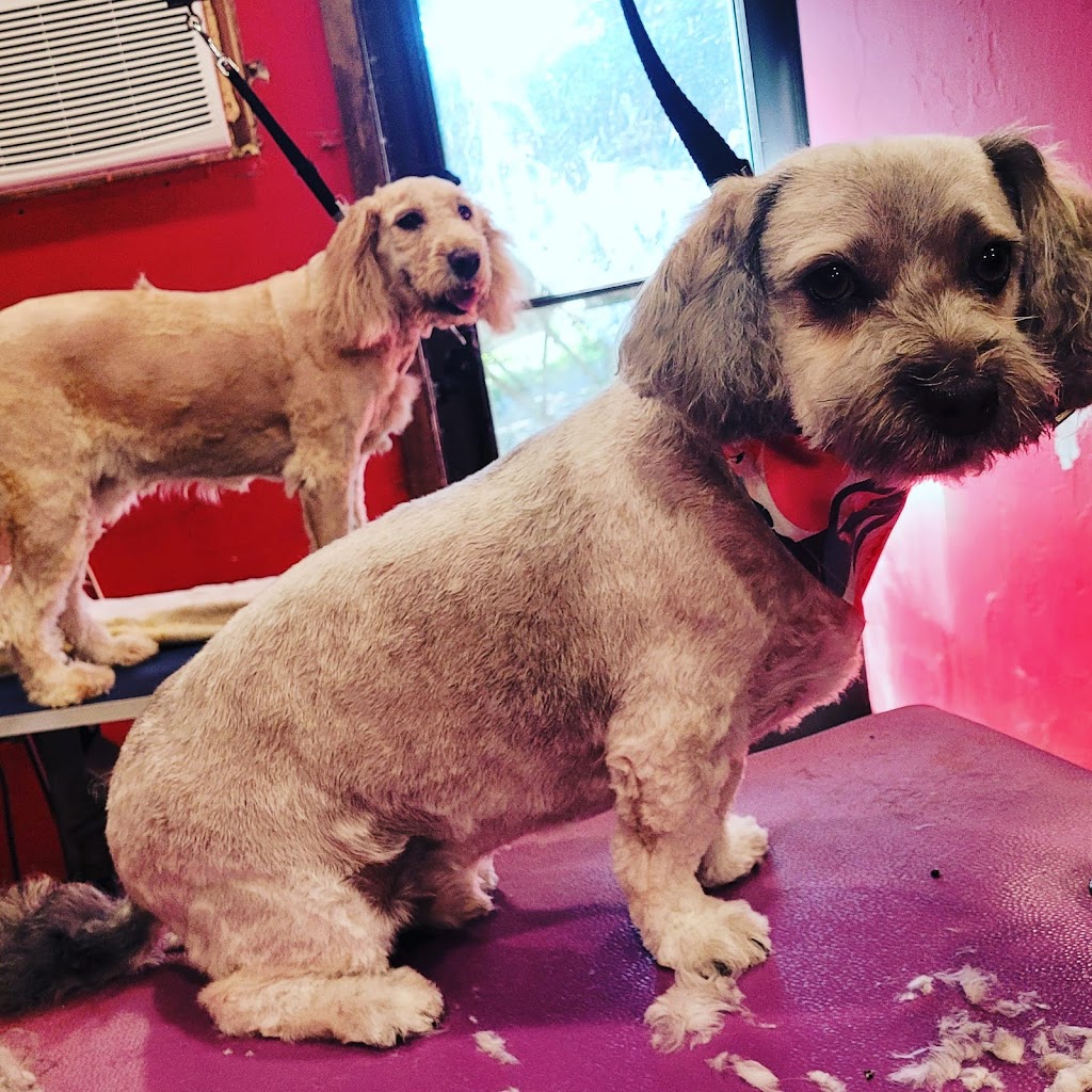 All Pet Groomery and Boarding | 815 NY-25A, Miller Place, NY 11764 | Phone: (631) 953-5643