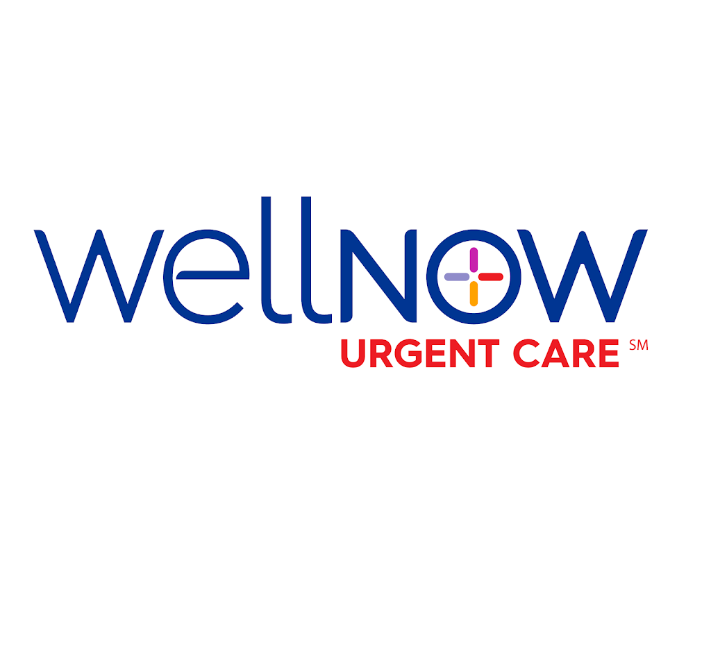 WellNow Urgent Care - Hudson | 446 Fairview Ave Ste. 200, Hudson, NY 12534 | Phone: (518) 267-3496