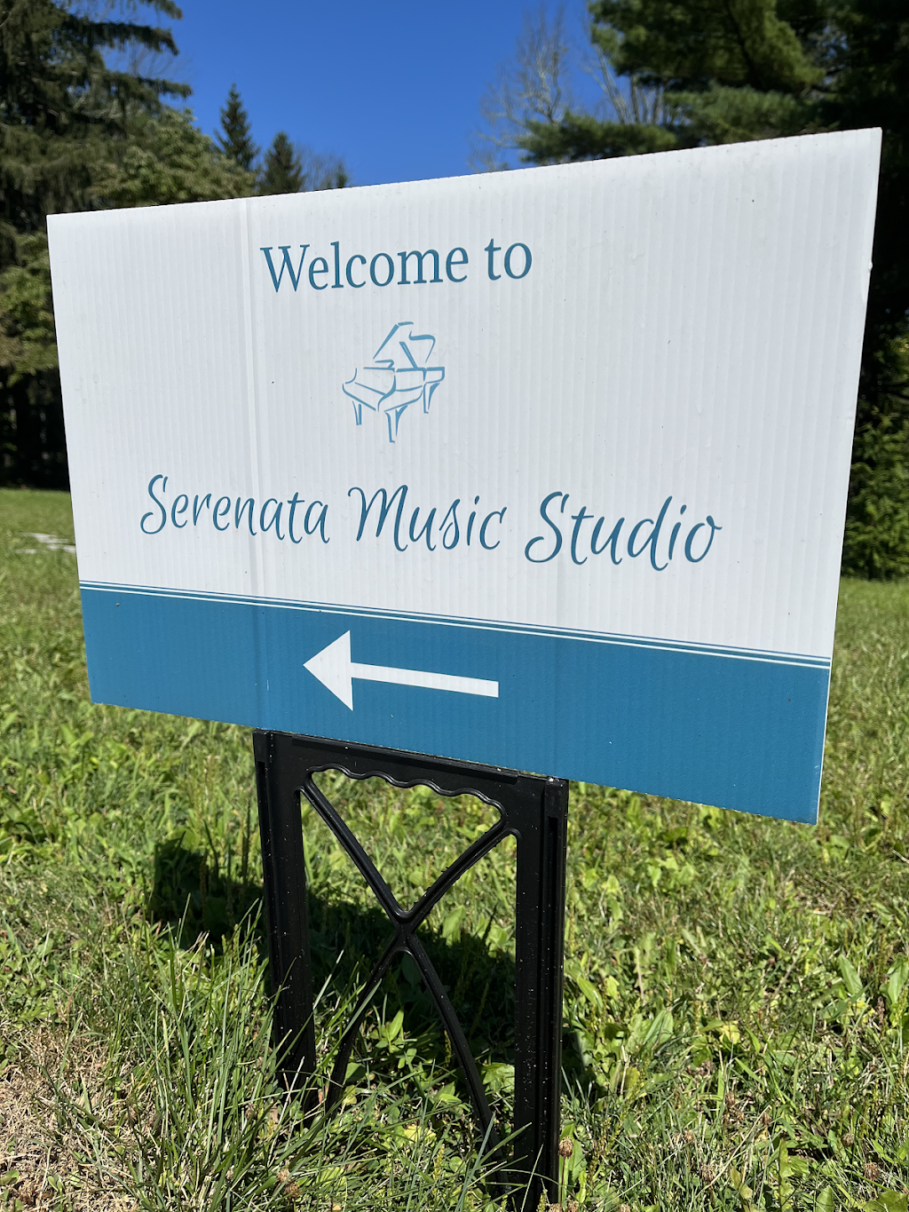 Serenata Music Studio | 4 4 Bridges Rd, Chester, NJ 07930 | Phone: (908) 235-2281