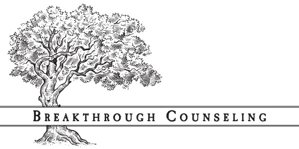 Breakthrough Counseling | 3 Paradies Ln, New Paltz, NY 12561 | Phone: (845) 926-0530