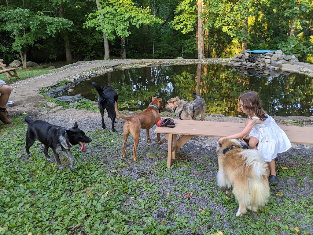 Rocky Top Dog Park | 3806-4118 NJ-27, Princeton, NJ 08540 | Phone: (732) 329-4000 ext. 7671