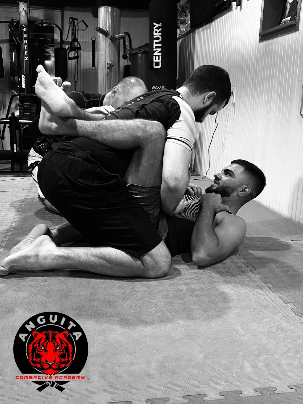 Anguita Combative Academy | 50 New St Suite B, Belleville, NJ 07109 | Phone: (973) 900-2965