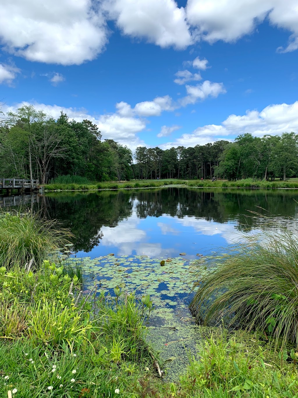 Ocean County Golf Course at Atlantis | 261 Country Club Blvd, Little Egg Harbor Township, NJ 08087 | Phone: (609) 296-2444