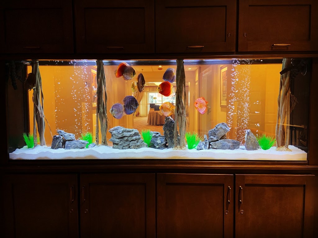Tank Me Later Aquarium & Pond Services | 104 Bellerose Ave, East Northport, NY 11731 | Phone: (516) 404-9721
