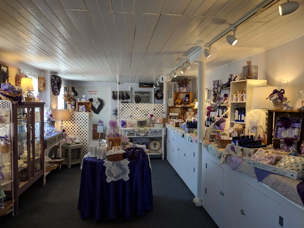 Hidden Spring Lavender & Alpaca Farm | 890 Belle Mead-Blawenburg Rd, Skillman, NJ 08558 | Phone: (609) 558-7034