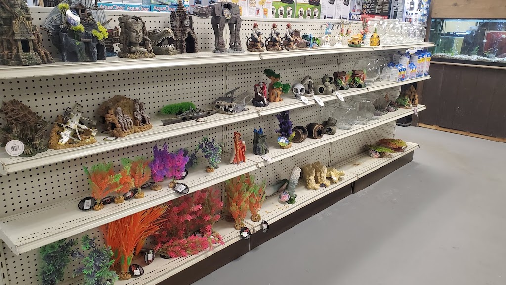 Russells Tropical Fish and Pet | 549 College Hwy Unit A, Southwick, MA 01077 | Phone: (413) 998-3567