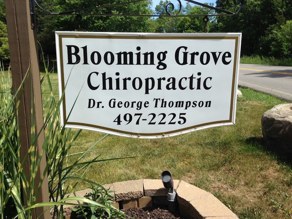 Blooming Grove Chiropractic | 49 Mountain Lodge Rd, Washingtonville, NY 10992 | Phone: (845) 497-2225