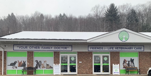 FRIENDS FOR LIFE VET CARE | 273 Grandview Ave, Honesdale, PA 18431 | Phone: (570) 647-4393