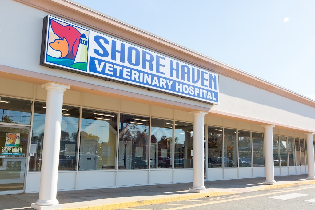 Shore Haven Veterinary Hospital | 47 Frontage Rd, East Haven, CT 06512 | Phone: (203) 469-6531