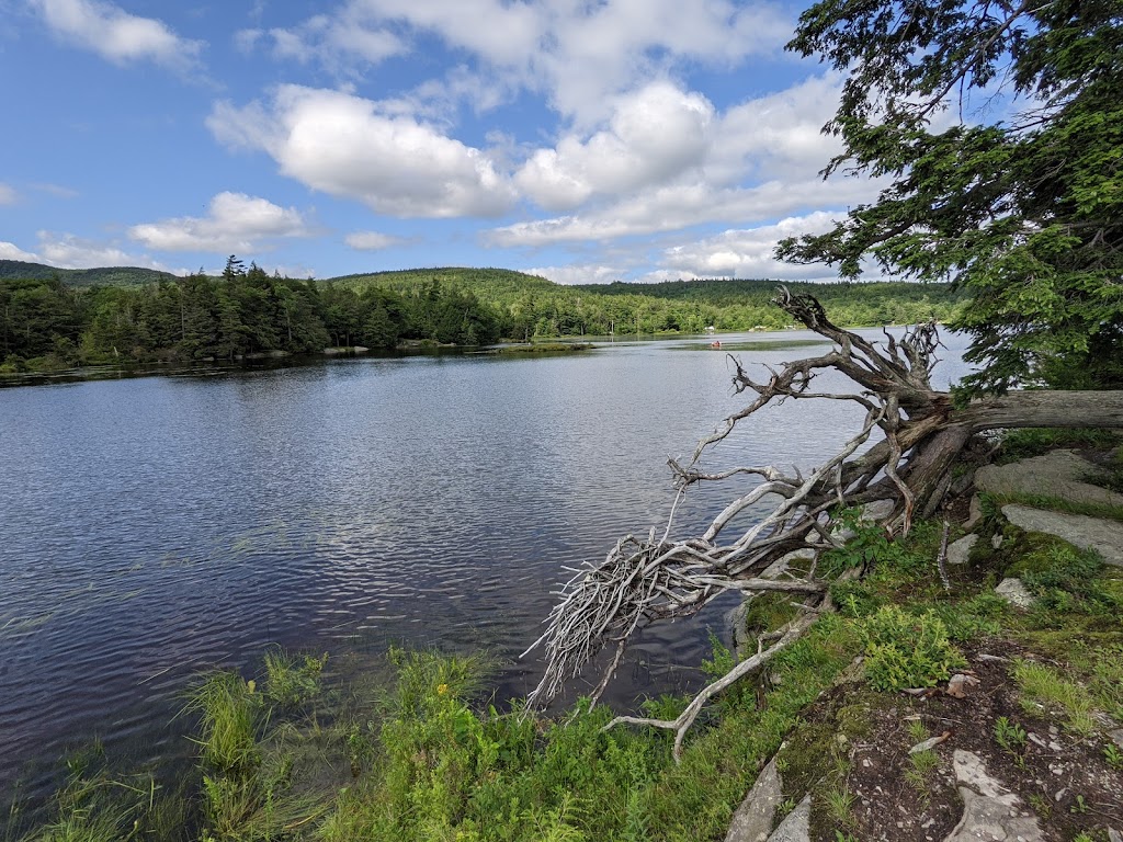 North/South Lake Campground | 874 N Lake Rd, Haines Falls, NY 12436 | Phone: (518) 589-5058