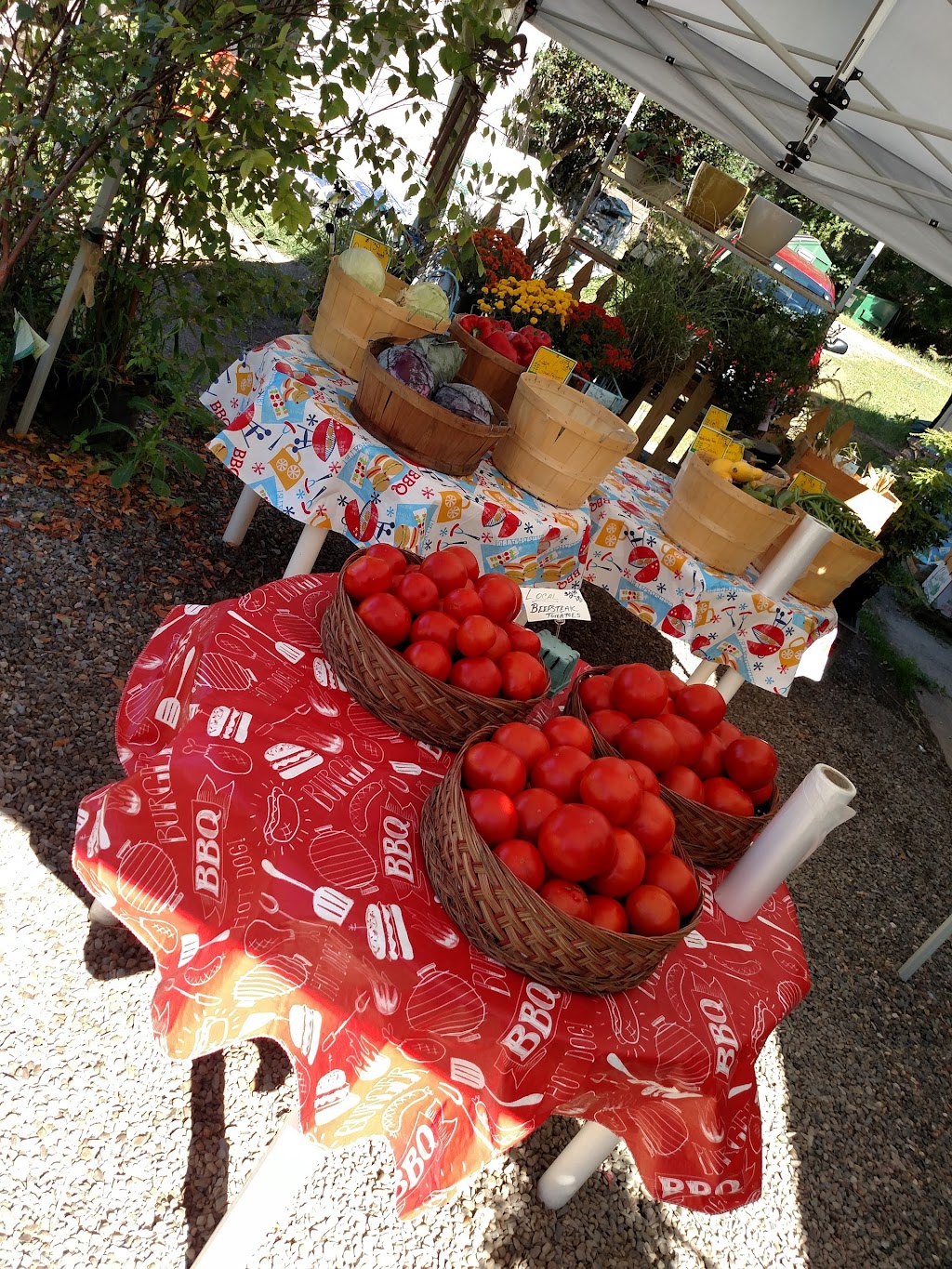 Wonderland Florist, Nursery and Farm Market | 201 E Market St, Rhinebeck, NY 12572 | Phone: (845) 876-4981