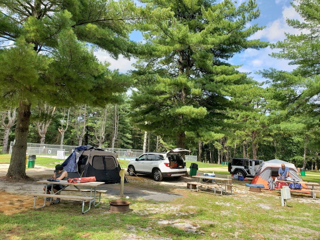 Holly Acres Campground | 218 Frankfurt Ave, Egg Harbor City, NJ 08215 | Phone: (609) 965-5055