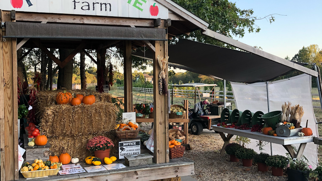 Free Time Farm | 243 Pennsville Pedricktown Rd, Pedricktown, NJ 08067 | Phone: (215) 631-9810