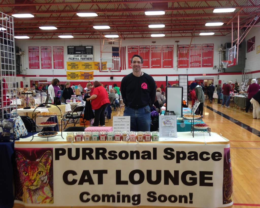 PURRsonal Space - South Jerseys Cat Lounge & Adoptions | 9201 Wrensong Ct, Palmyra, NJ 08065 | Phone: (856) 786-7877
