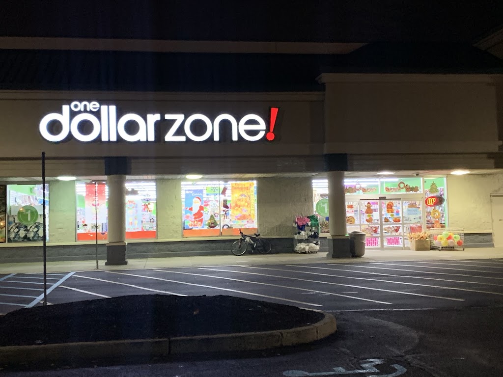 One Dollar Zone | Boro, 118 N Main St, Manville, NJ 08835 | Phone: (908) 231-0400