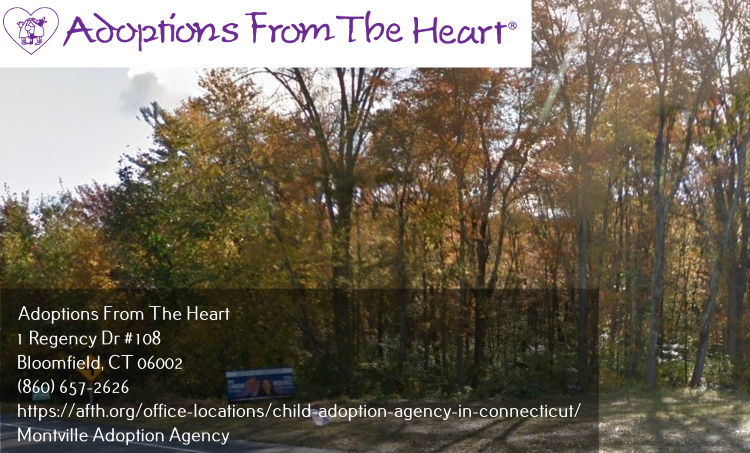 Adoptions From The Heart | 1 Regency Dr #108, Bloomfield, CT 06002 | Phone: (860) 657-2626