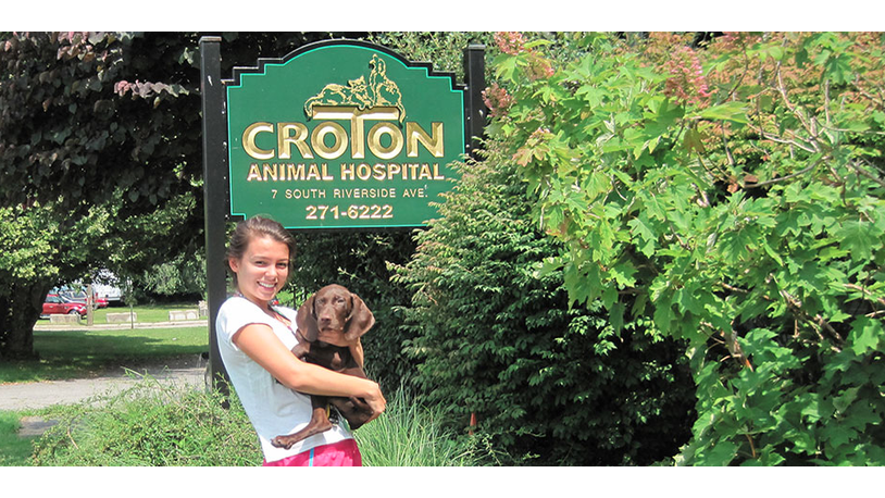 Croton Animal Hospital | 7 S Riverside Ave, Croton-On-Hudson, NY 10520 | Phone: (914) 271-6222