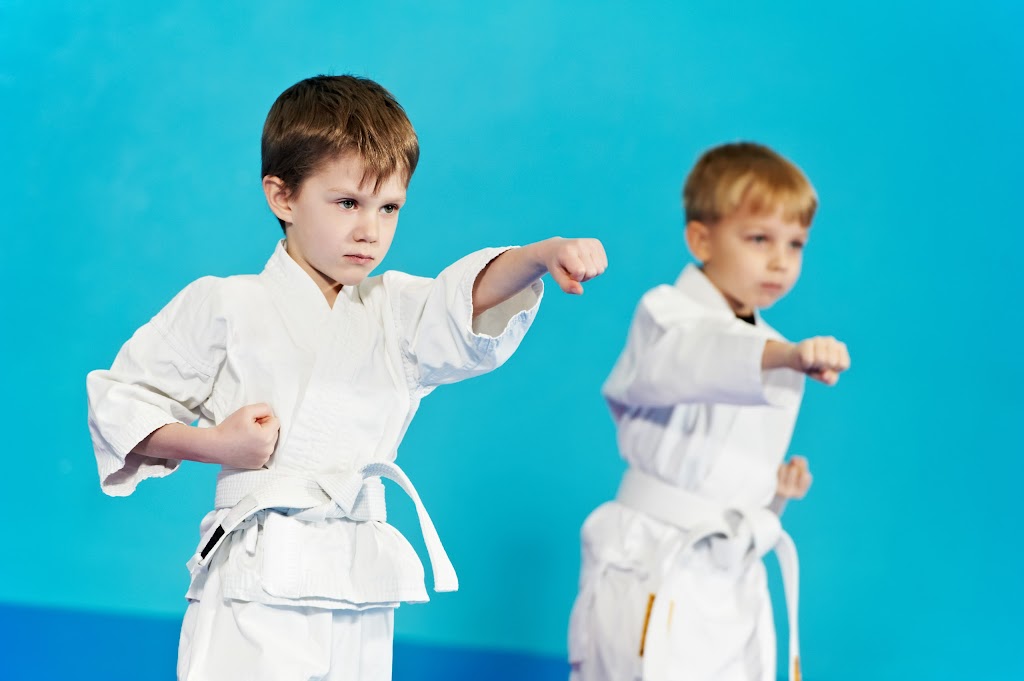 Sensei Meirs Karate & Self Defense | 413 Hamilton Ave, Hewlett, NY 11557 | Phone: (516) 582-5657
