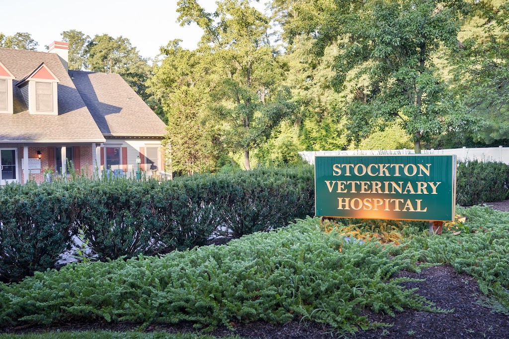 Stockton Veterinary Hospital | 56 S Main St, Stockton, NJ 08559 | Phone: (609) 483-2590