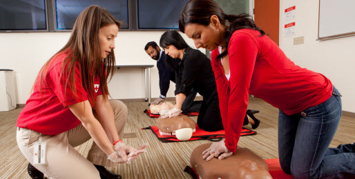 Dummies2go - CPR Training | 3771 Brownsville Rd, Trevose, PA 19053 | Phone: (215) 499-2608