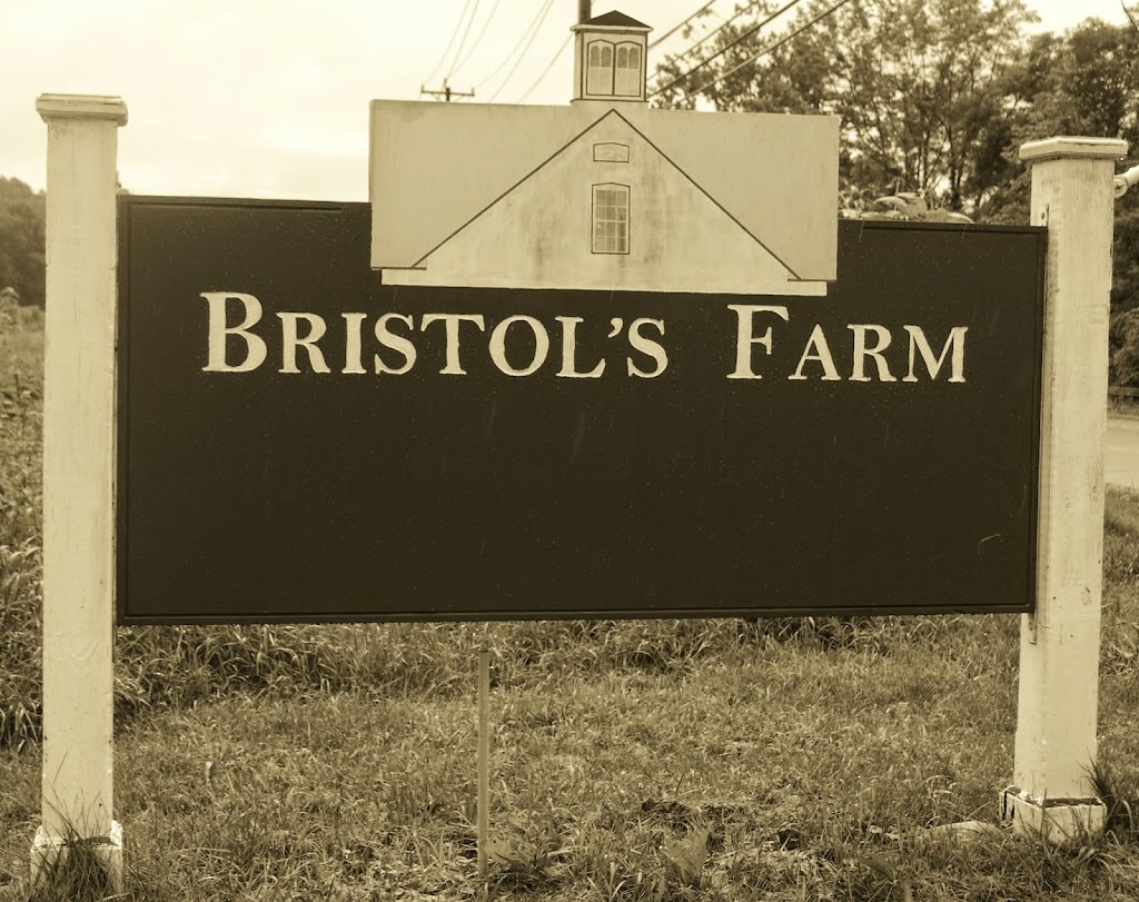 Bristols Farm Market | 541 Albany Turnpike, Canton, CT 06019 | Phone: (860) 693-8965