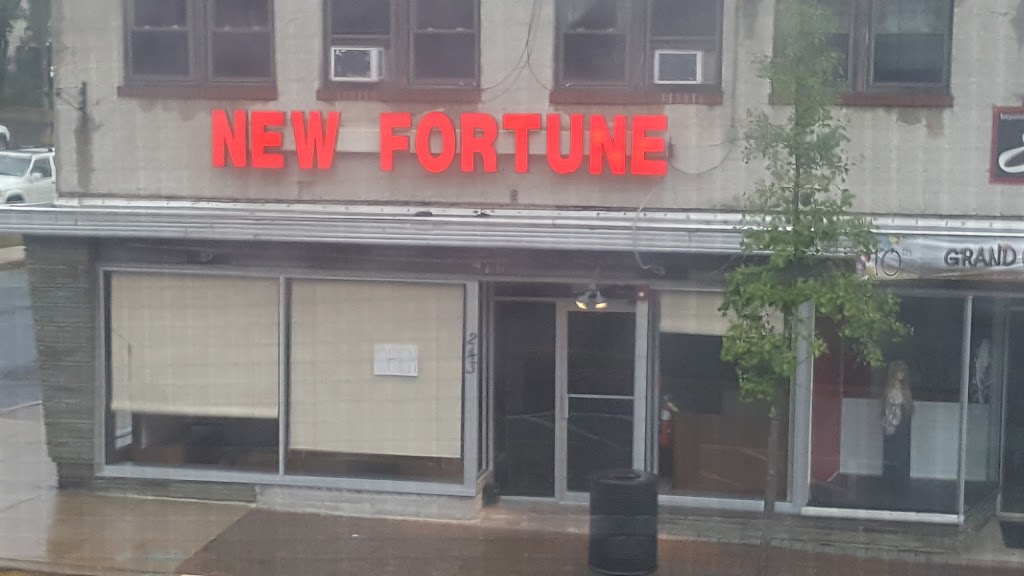 New Fortune Restaurant | 243 S Main St, Manville, NJ 08835 | Phone: (908) 722-2555