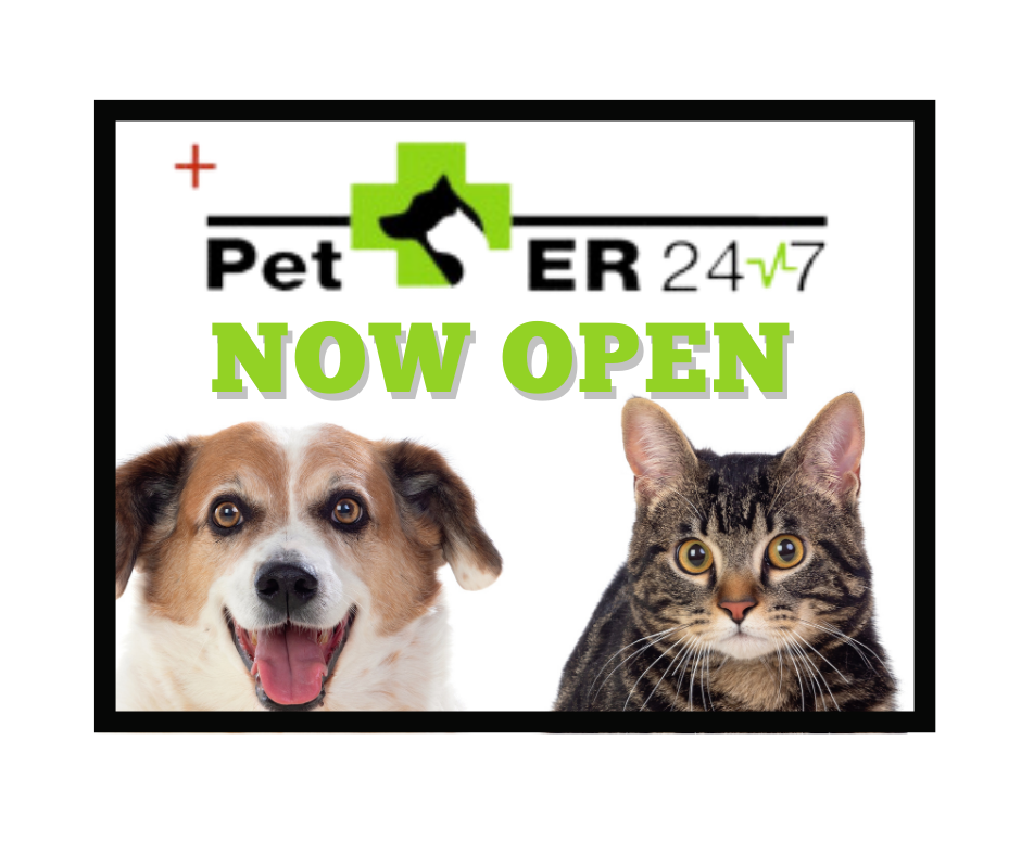 Pet ER 24/7 | 60 NY-25A Suite 1, Setauket- East Setauket, NY 11733 | Phone: (631) 247-3837