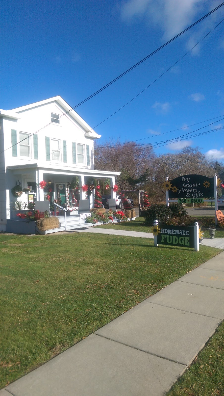 Ivy League Flowers & Gifts | 56475 Main Rd, Southold, NY 11971 | Phone: (631) 765-6500