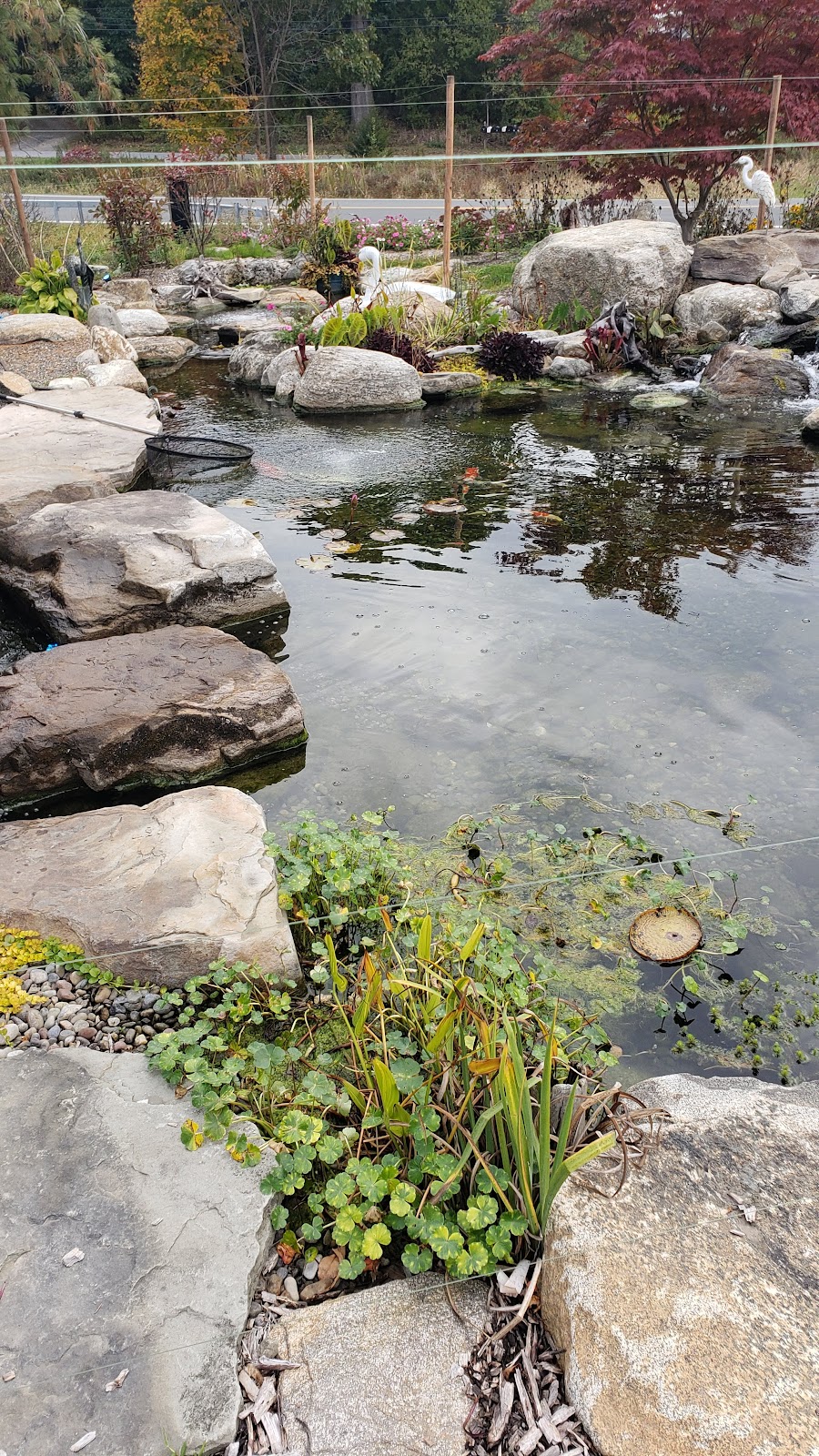 Garden State Koi Pond & Waterfall Design Center | 657 NY-94, Warwick, NY 10990 | Phone: (845) 651-4100