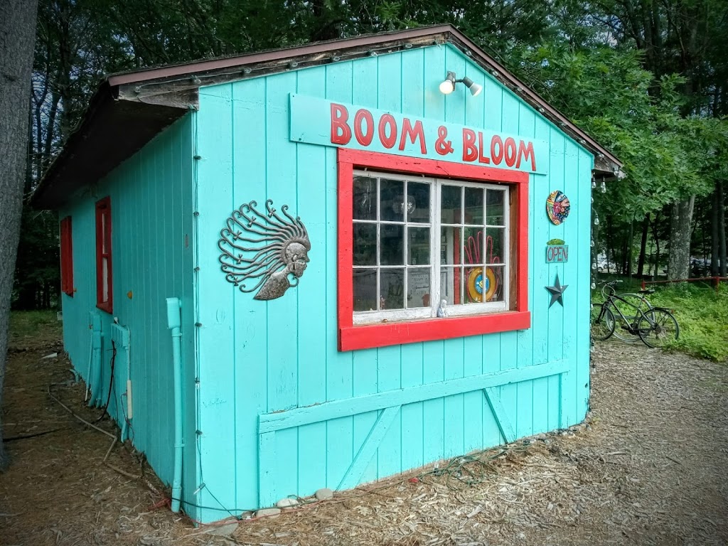 Boom and Bloom Records | 2176 NY-145, East Durham, NY 12423 | Phone: (917) 371-3232