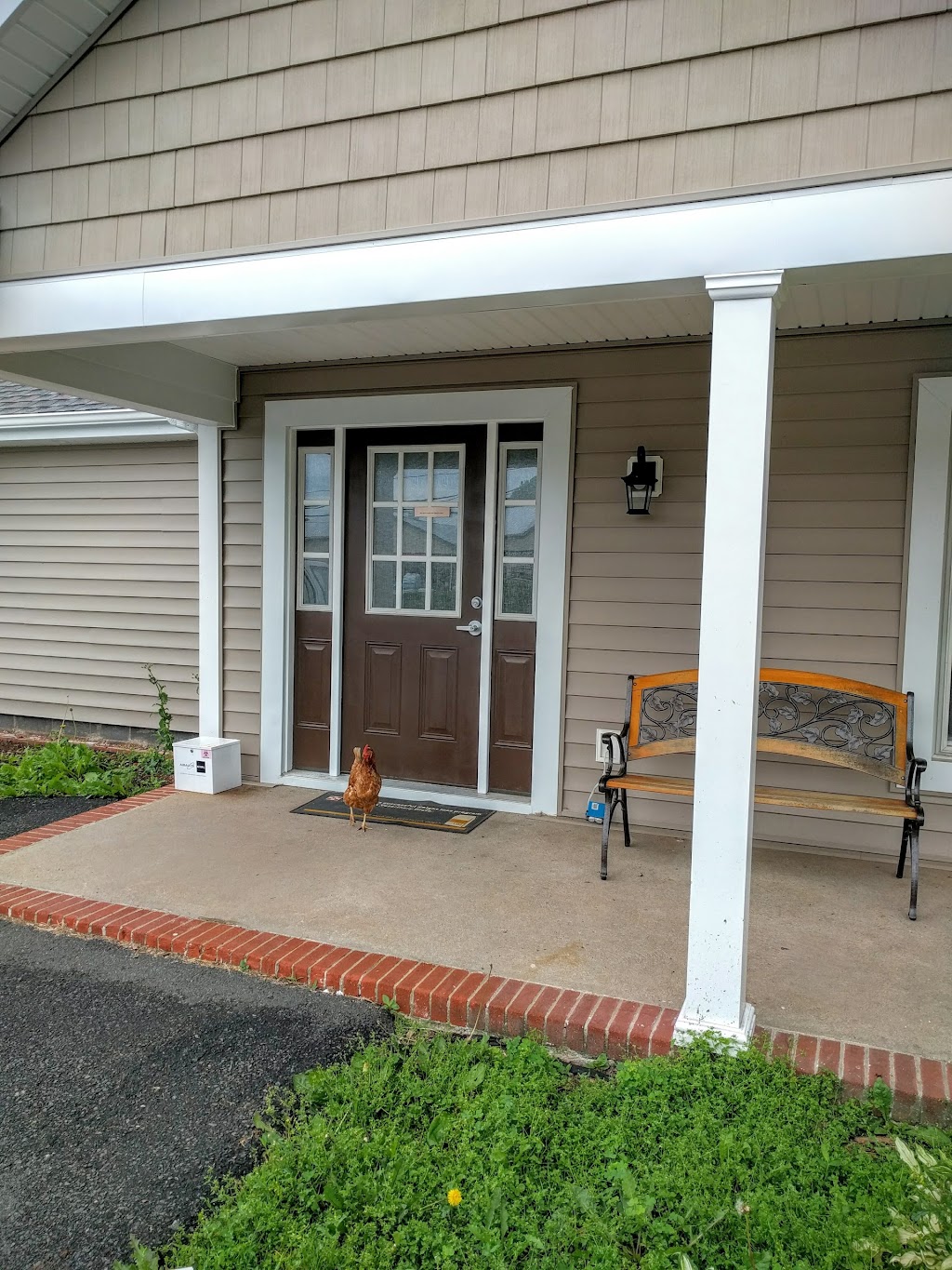 Pennington Veterinary Clinic | 116 Titus Mill Rd, Pennington, NJ 08534 | Phone: (609) 818-1200